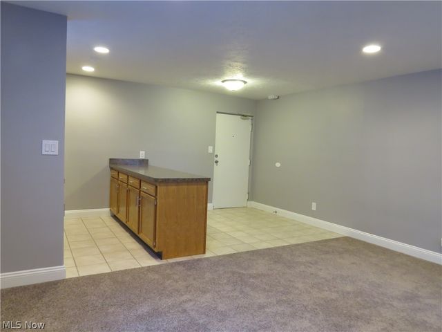 1675 Woodward Avenue, Lakewood, OH 44107