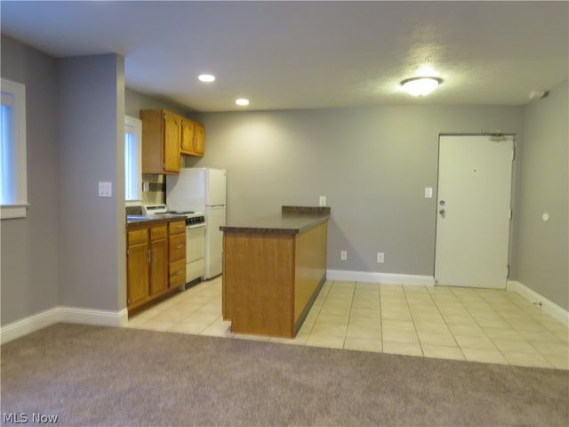 1675 Woodward Avenue, Lakewood, OH 44107