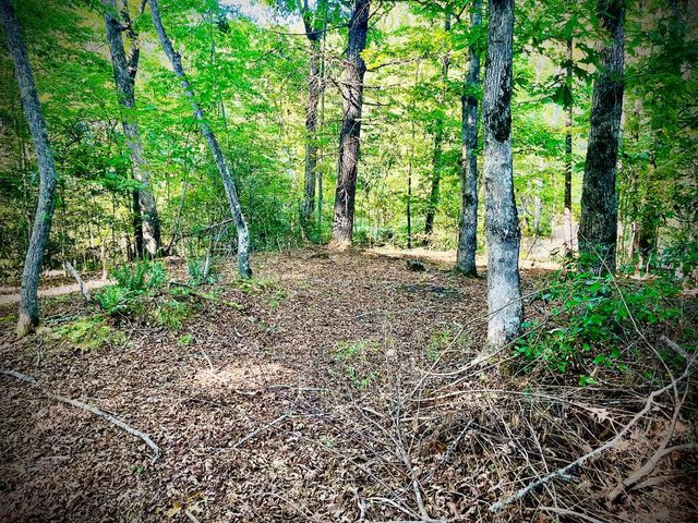 471 Nottley River Road, Murphy, NC 28906