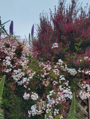 7561 Chester Drive, Salinas, CA 93907