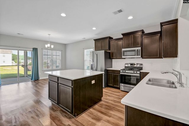 217 Wading Bird Loop, Blythewood, SC 29016