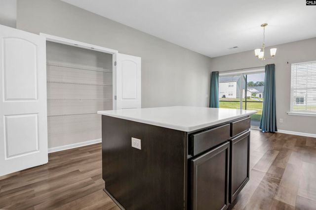 217 Wading Bird Loop, Blythewood, SC 29016
