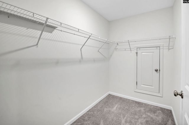 217 Wading Bird Loop, Blythewood, SC 29016