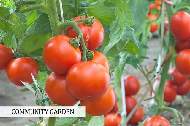 3850 Hudson Manor Terrace 3EW, Bronx, NY 10463