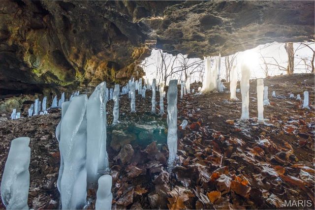 0 TBD Red Oak Road, Waynesville, MO 65583