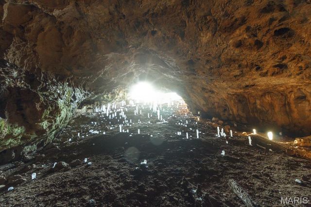 0 TBD Red Oak Road, Waynesville, MO 65583