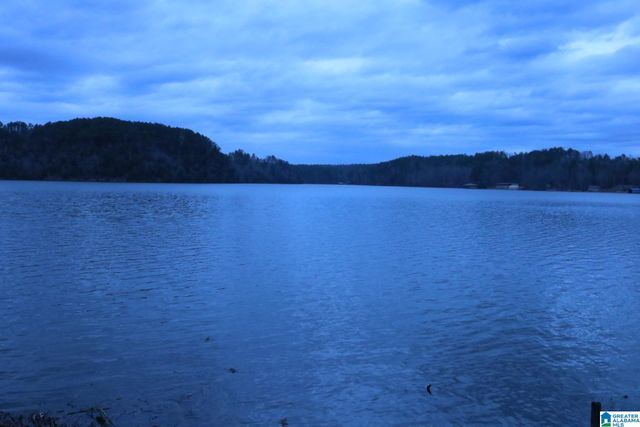 221 SMITH CAMP LANE, Adger, AL 35006