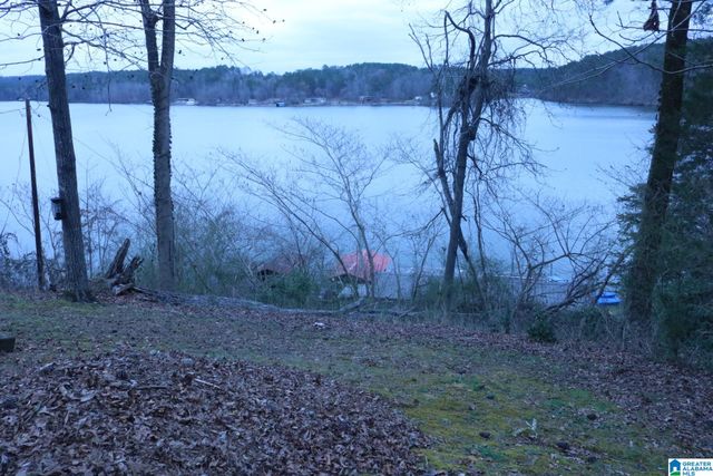 221 SMITH CAMP LANE, Adger, AL 35006