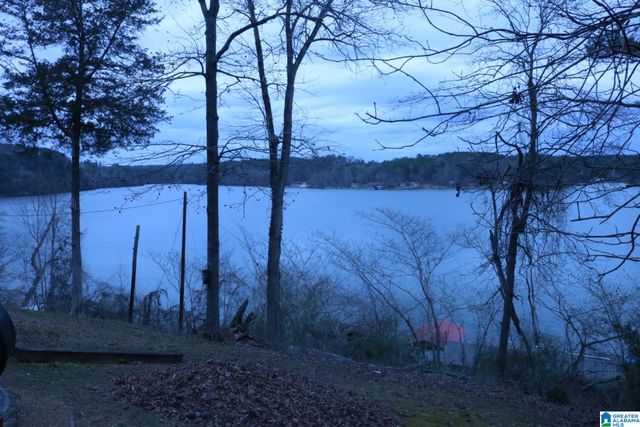 221 SMITH CAMP LANE, Adger, AL 35006