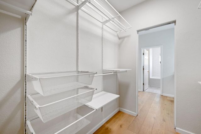 703 Star Jasmine Court, San Jose, CA 95131