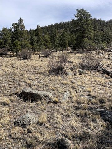 2030 Puma Hills Road, Lake George, CO 80827