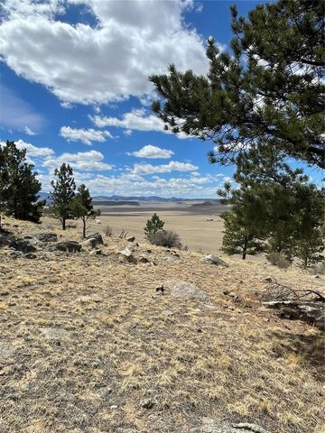 2030 Puma Hills Road, Lake George, CO 80827