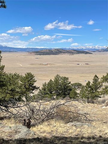 2030 Puma Hills Road, Lake George, CO 80827