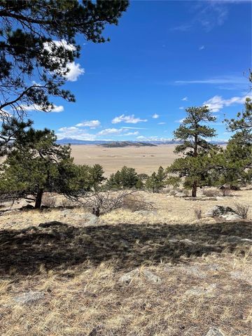 2030 Puma Hills Road, Lake George, CO 80827