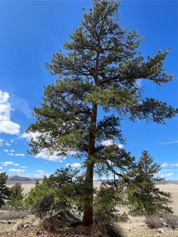 2030 Puma Hills Road, Lake George, CO 80827