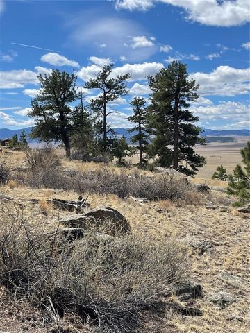 2030 Puma Hills Road, Lake George, CO 80827