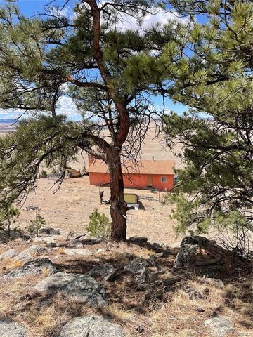 2030 Puma Hills Road, Lake George, CO 80827
