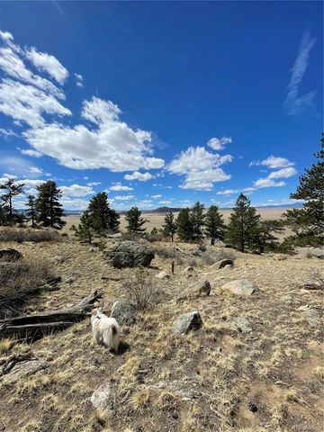 2030 Puma Hills Road, Lake George, CO 80827