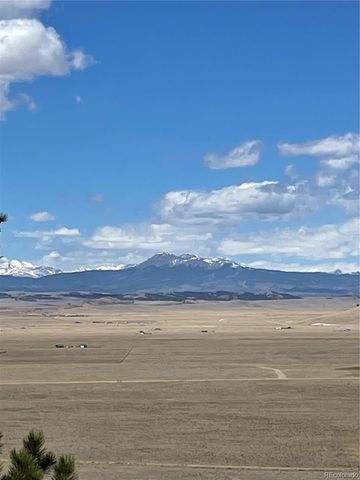 2030 Puma Hills Road, Lake George, CO 80827