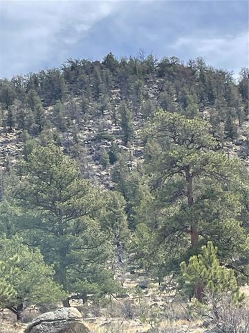 2030 Puma Hills Road, Lake George, CO 80827