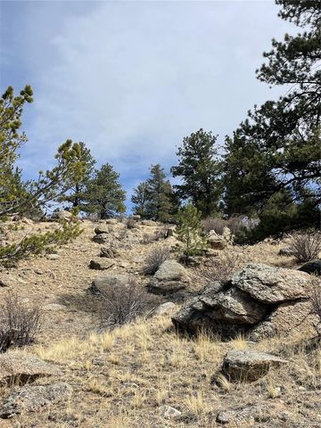 2030 Puma Hills Road, Lake George, CO 80827