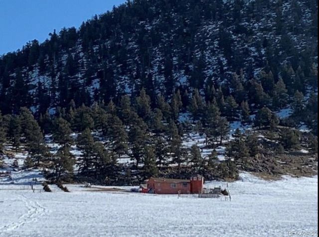2030 Puma Hills Road, Lake George, CO 80827