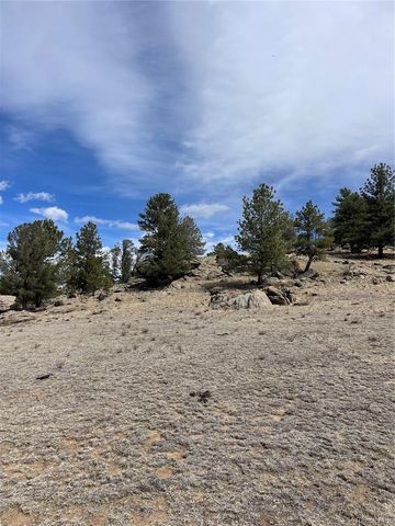 2030 Puma Hills Road, Lake George, CO 80827