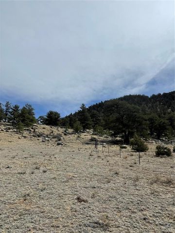 2030 Puma Hills Road, Lake George, CO 80827