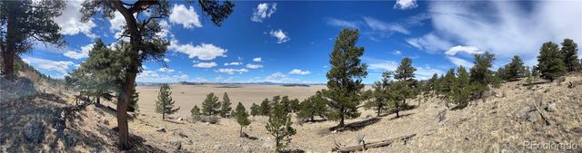 2030 Puma Hills Road, Lake George, CO 80827