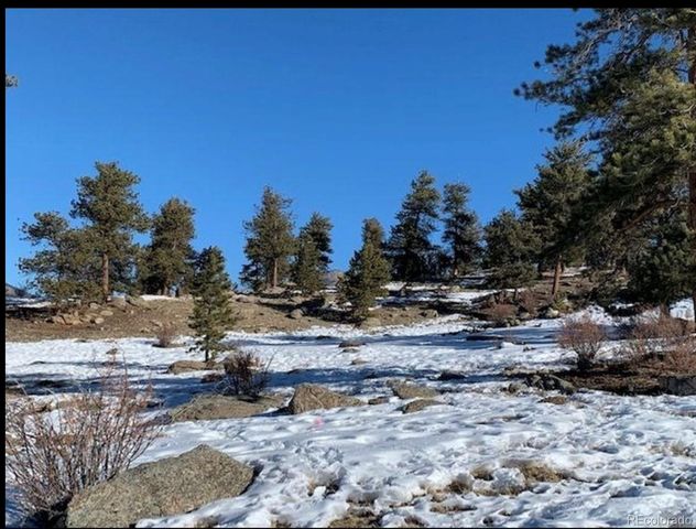 2030 Puma Hills Road, Lake George, CO 80827