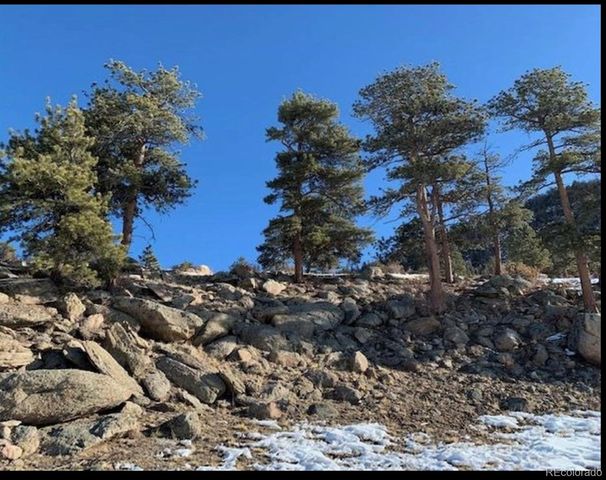 2030 Puma Hills Road, Lake George, CO 80827
