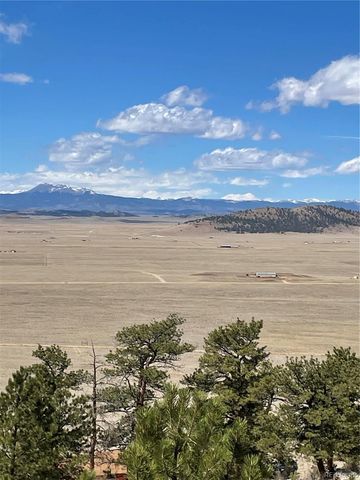 2030 Puma Hills Road, Lake George, CO 80827