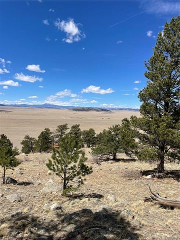 2030 Puma Hills Road, Lake George, CO 80827