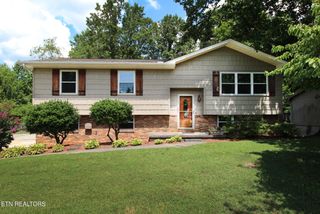 7317 Joyce Lane, Powell, TN 37849
