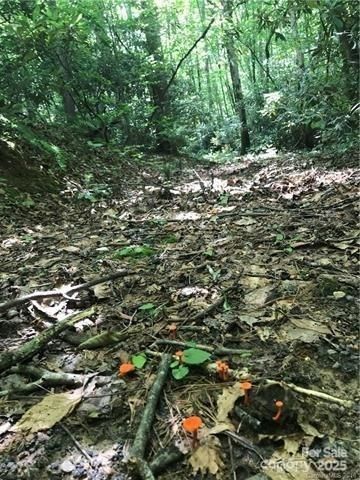 172 Crimson Drive 995, Old Fort, NC 28762