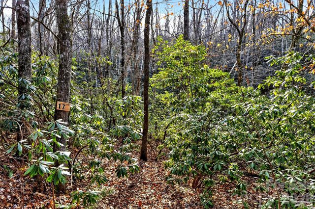172 Crimson Drive 995, Old Fort, NC 28762