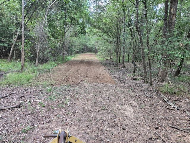 OOO Fm 1013, Spurger, TX 77660