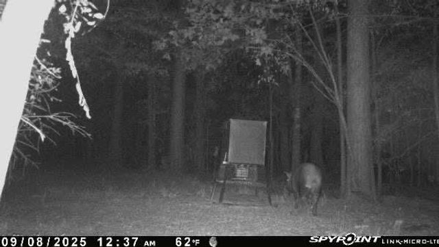 OOO Fm 1013, Spurger, TX 77660