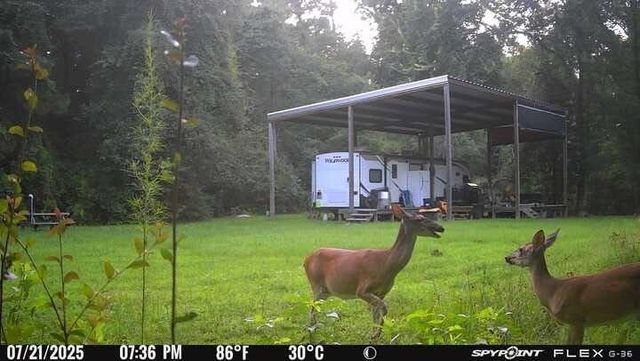 OOO Fm 1013, Spurger, TX 77660