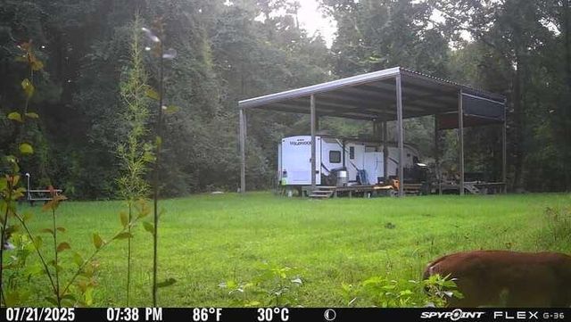 OOO Fm 1013, Spurger, TX 77660