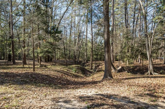 143 Winding Trail, Holly Lake Ranch, TX 75765