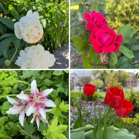 1228 Spring Avenue NE, Grand Rapids, MI 49505