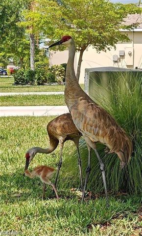 8231 Gopher Tortoise TRL, Lehigh Acres, FL 33972