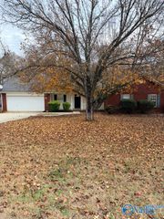 217 Falcon Ridge Drive, Huntsville, AL 35811