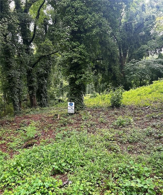 0 Webb NW Avenue, Atlanta, GA 30314