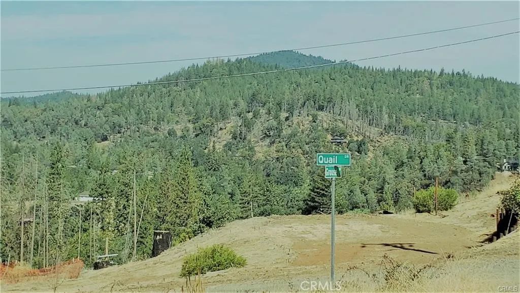 14765 Grouse, Cobb, CA 95426