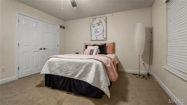 24 Towerbridge Place, St Charles, MO 63303