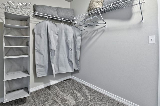 8594 Blue Feather Loop, Colorado Springs, CO 80908