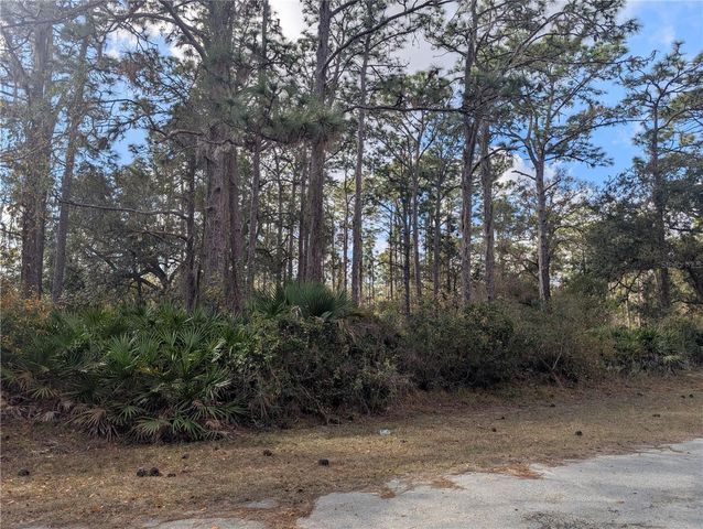 ALLAMANDA DRIVE, Indian Lake Estates, FL 33855