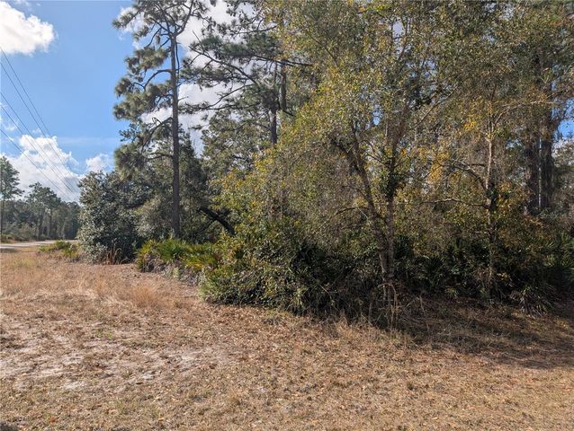 ALLAMANDA DRIVE, Indian Lake Estates, FL 33855